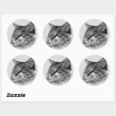 Maine Coon Cat Ronde Sticker (Vel)