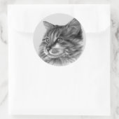 Maine Coon Cat Ronde Sticker (Tas)
