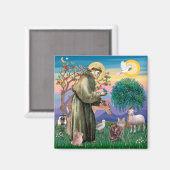 Maine Coon Cat - Sint Franciscus Magneet (Voorkant / Achterkant)