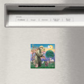 Maine Coon Cat - Sint Franciscus Magneet (Insitu (Vaatwasser))