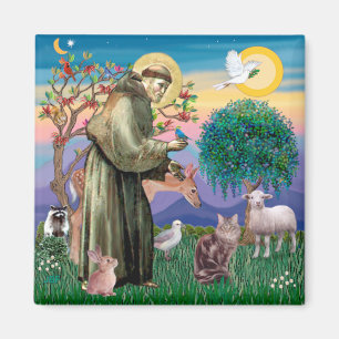 Maine Coon Cat - St Francis Magneet