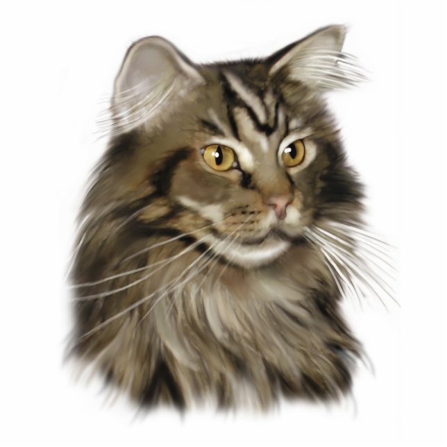 Maine Coon Cat Staand Fotobeeldje (Voorkant)