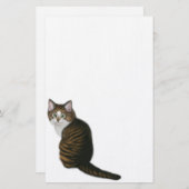 Maine Coon Cat Stationery Briefpapier (Voorkant / Achterkant)