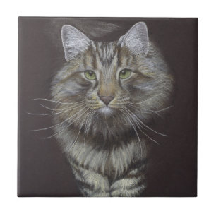 Maine Coon Cat Tegeltje