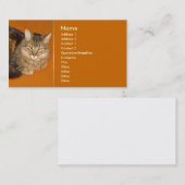 Maine Coon Cat Visitekaartje (Voorkant / Achterkant)