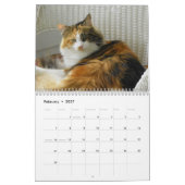 Maine Coon Cats Kalender (Feb 2027)