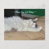 Maine Coon chat dormir Carte postale (Devant)