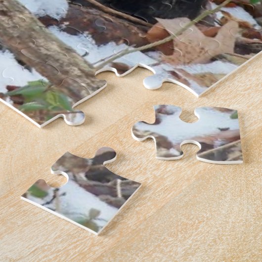 Maine Coon Chat en Forêt Puzzle (Côté)