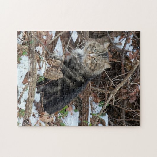 Maine Coon Chat en Forêt Puzzle (Horizontal)