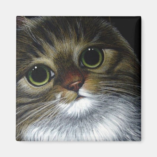 MAINE COON CHAT Magnet (Devant)