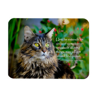 Maine Coon Chat Magnet Inspirant