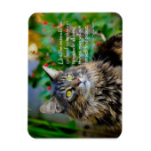 Maine Coon Chat Magnet Inspirant (Vertical)