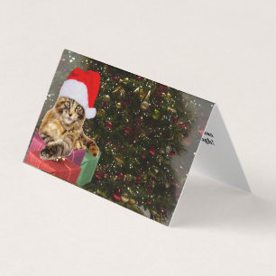 Maine Coon Chat Père Noël & Cadeaux Arbre de Noël 