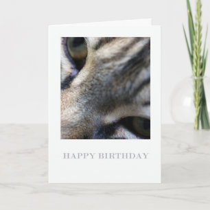 Maine Coon Close Up, Fotografie Verjaardag Kaart
