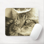 Maine Coon Face 2 Muismat (Met muis)
