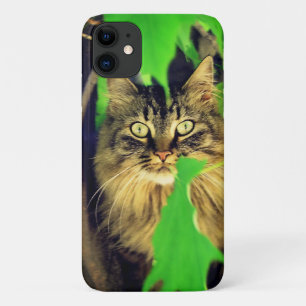 Maine Coon in Boom iPhone 11 Hoesje