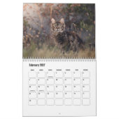 Maine Coon Kalender (Feb 2027)