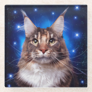 Maine Coon Kat Blauwe Achtergrond Sterren Glazen Onderzetter