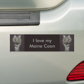 Maine Coon Kat Bumpersticker (Op auto)