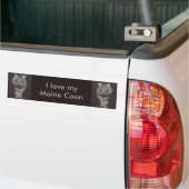 Maine Coon Kat Bumpersticker (Op Truck)
