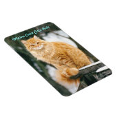 Maine coon kat Flexibele Magneet (Rechterzijde)