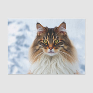 Maine Coon kat in een besneeuwde wildernis portret Tissuepapier