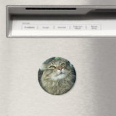 Maine Coon kat Magneet (Insitu (Vaatwasser))