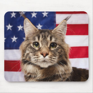Maine Coon Kat Met Amerikaanse Vlag Muismat