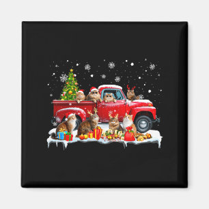 Maine Coon Kat Rode Truck Kerstboom Kerstman Lelij Magneet
