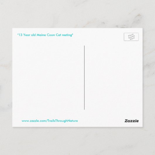 Maine Coon kat slapen Briefkaart (Achterkant)