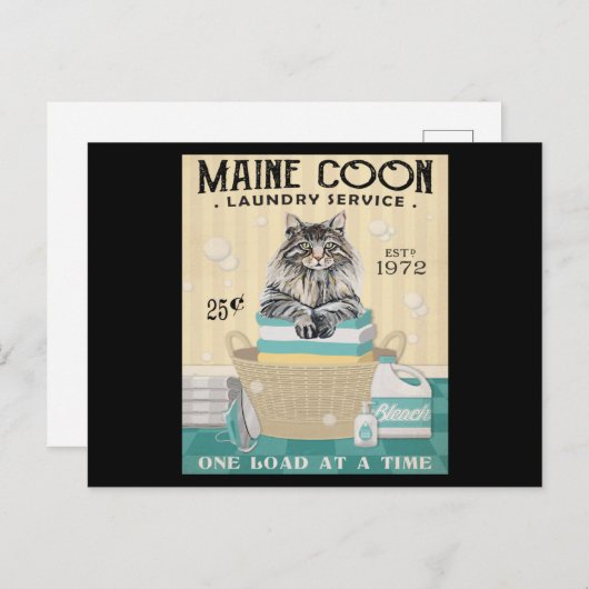Maine Coon Kat Wasmachine Bedrijf 2 Briefkaart (Voorkant / Achterkant)