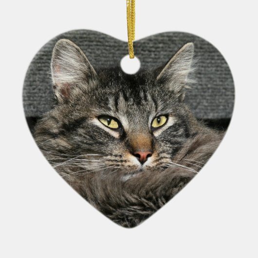 Maine Coon kattegezicht Keramisch Ornament (Voorkant)