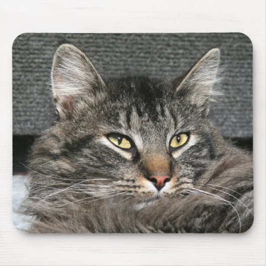 Maine Coon kattegezicht Muismat (Voorkant)