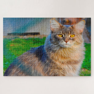Maine Coon katten. Legpuzzel