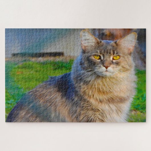 Maine Coon katten. Legpuzzel (Horizontaal)