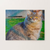 Maine Coon katten. Legpuzzel (Horizontaal)