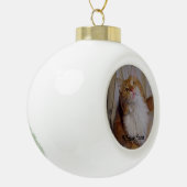 Maine Coon kattenbal Ornament (Links)