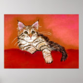 Maine Coon Kitten Cat Portrait Poster (Voorkant)