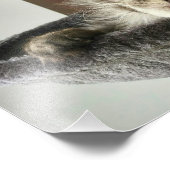 Maine Coon Kitten Foto afdrukken Afdruk (Hoek)