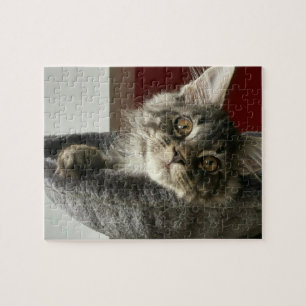 Maine Coon Kitten Jigzaag Puzzle Legpuzzel