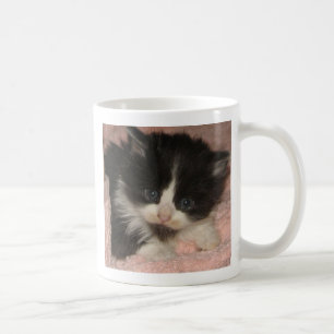 Maine Coon Kitten Koffiemok