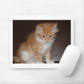 maine coon kitten.png muismat (Met muis)