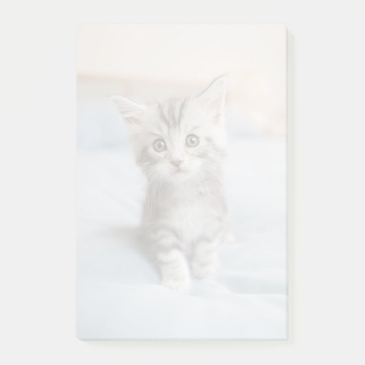 Maine Coon Kitten Post-it® Notes (Voorkant)