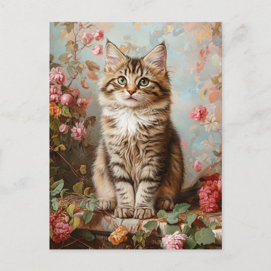  Maine Coon Kitten Schilderij Briefkaart (Voorkant)