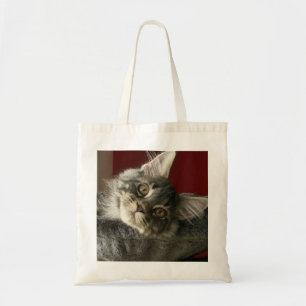 Maine Coon Kitten Tas