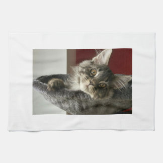 Maine Coon Kitten Tea Towel Theedoek