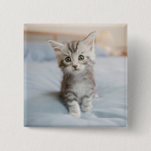 Maine Coon Kitten Vierkante Button 5,1 Cm