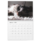 Maine Coon Kitty Cat Calendar Kalender (Feb 2026)