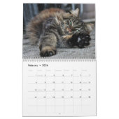Maine Coon Kitty Cat Cute 2021 Kalender (Feb 2026)