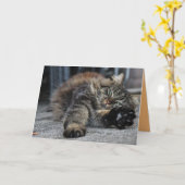 Maine Coon Kitty Cat Cute Aanpasbare Kaart (Gele Bloem)